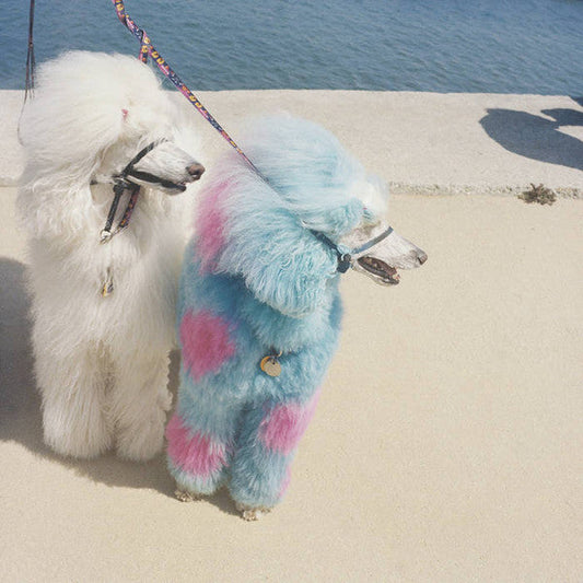 Advertise Here |   Retro Vinyl Club