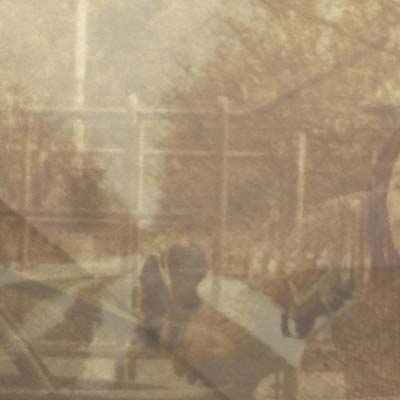 Folding In On Itself | Retro Vinyl Club