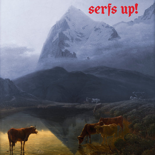 SERFS UP! | Retro Vinyl Club