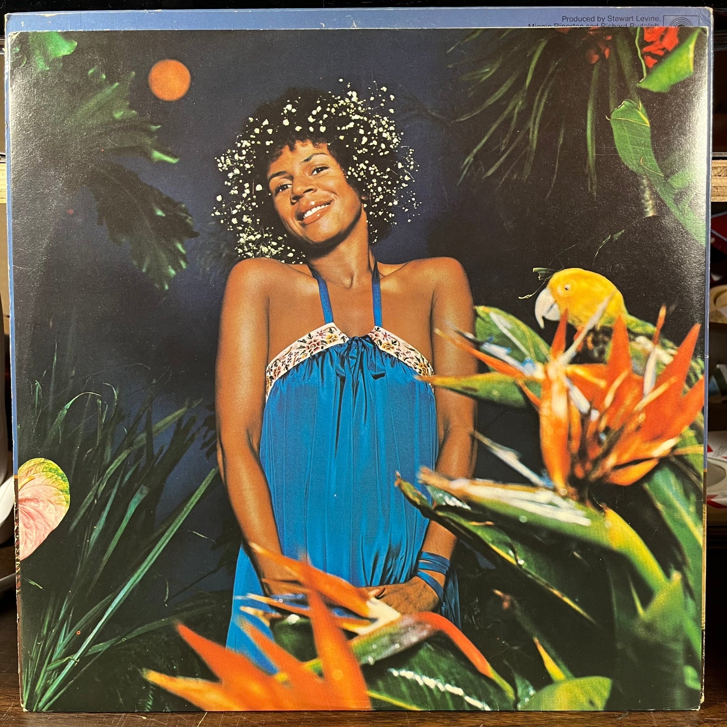 Adventures In Paradise (VINYL) | Very Good (VG) Excellent (EX) Retro Vinyl Club