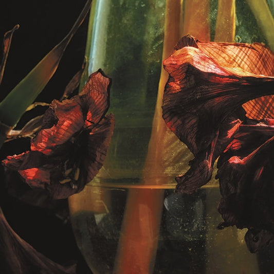 Psychedelia In Times Of Turbulence | Retro Vinyl Club