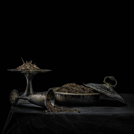 All We Have Is Never *PRE-ORDER 8/8/25*(Purple Vinyl) |   Retro Vinyl Club