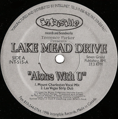 Alone With U (VINYL) | Near Mint (NM) Generic Retro Vinyl Club