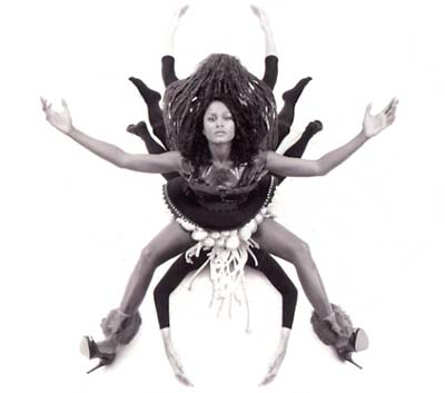 Barefoot Wanderer | Retro Vinyl Club