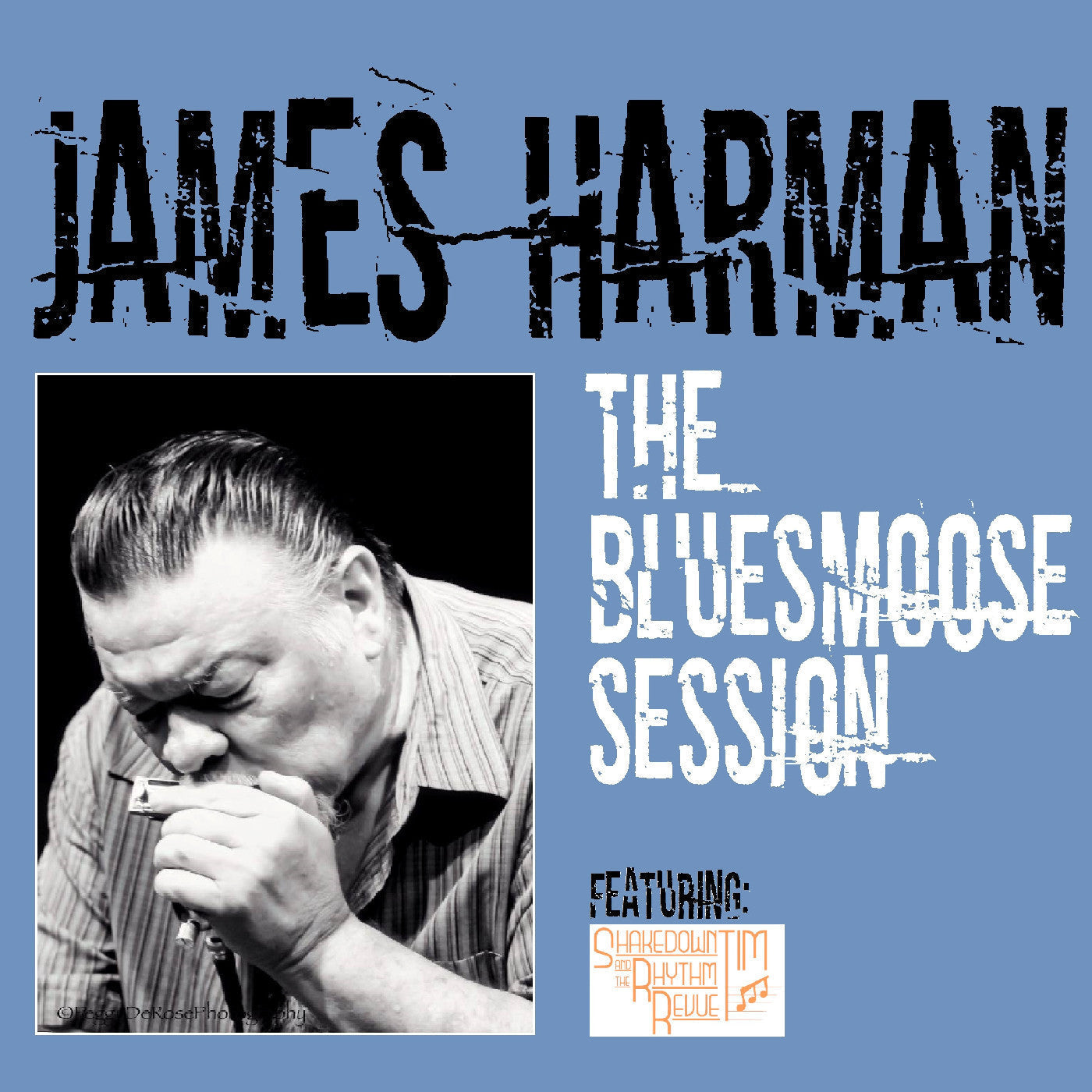 The Bluesmoose Session | Retro Vinyl Club