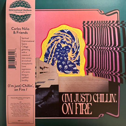 (I'm just) Chillin', on Fire (2LP Pink Vinyl) |   Retro Vinyl Club