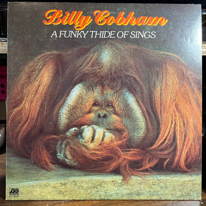 A Funky Thide Of Sings (VINYL) | Near Mint- (NM-) Excellent+ (EX+) Retro Vinyl Club