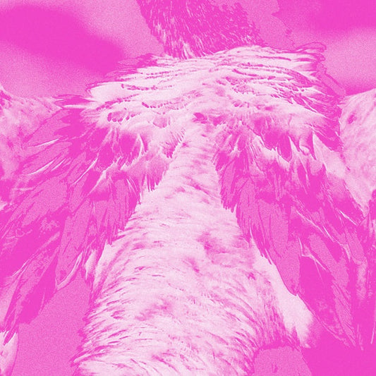 A field guide to phantasmic birds | Retro Vinyl Club