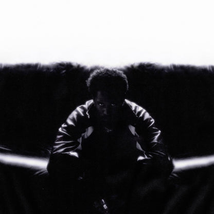 Timeless (PRE-ORDER 6/27/25)(2Lp) |   Retro Vinyl Club