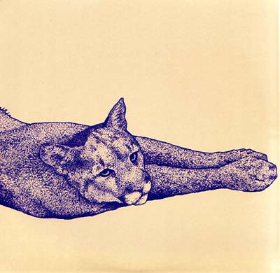 Field Rituals | Retro Vinyl Club