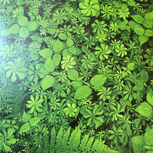 Agor |   Retro Vinyl Club