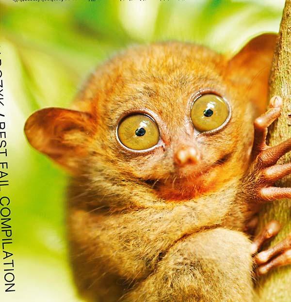 Best Fail Compilation | Retro Vinyl Club