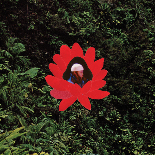 When The Flowers Bloom *PRE-ORDER 7/11/25* (VINYL) |   Retro Vinyl Club