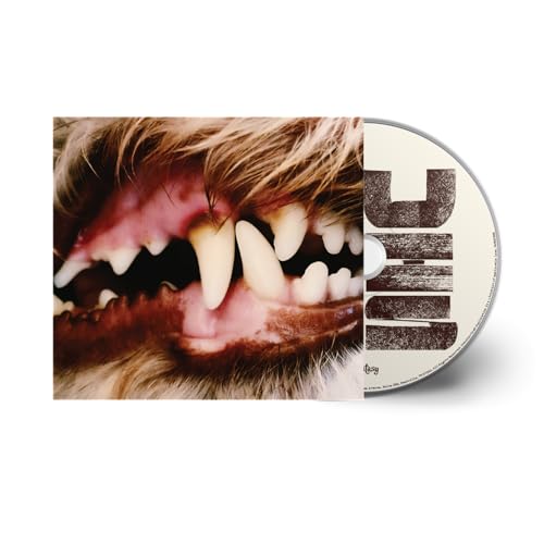 Lucius | Retro Vinyl Club