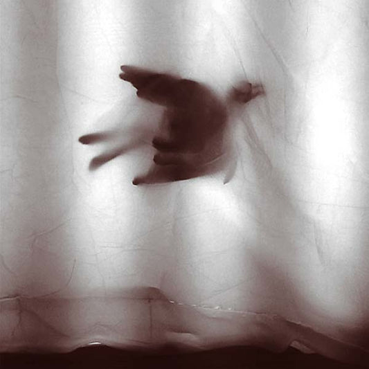 Tiny Birds | Retro Vinyl Club