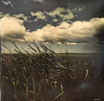 All Hope Is Gone (ORANGE VINYL) |   Retro Vinyl Club