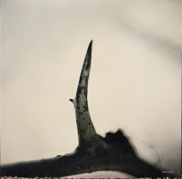 All Hope Is Gone (ORANGE VINYL) |   Retro Vinyl Club