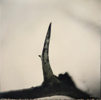 All Hope Is Gone (ORANGE VINYL) |   Retro Vinyl Club