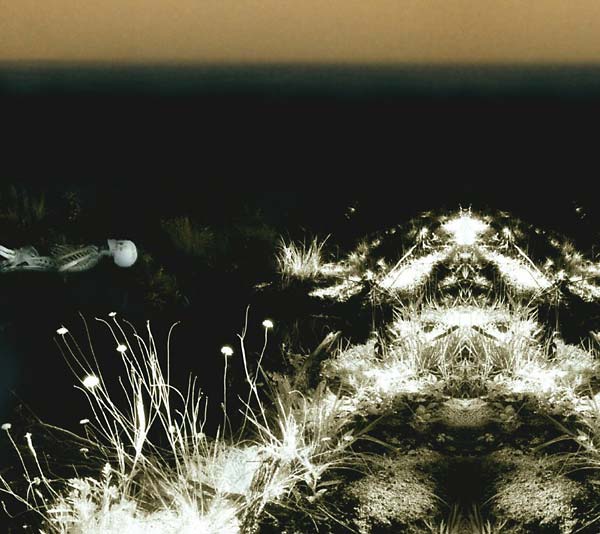 Ohrwurm | Retro Vinyl Club