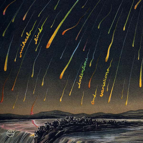 Intentions and Variations | Retro Vinyl Club