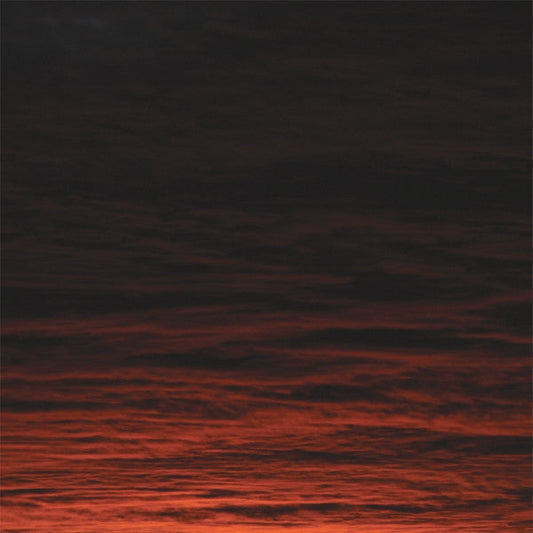 A Path Less Travelled |   Retro Vinyl Club