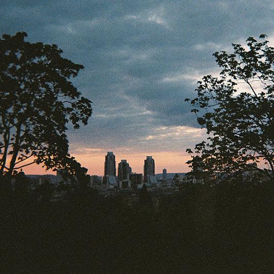 They Fall, But You Don't | Retro Vinyl Club