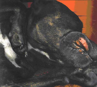 Hits of 76IX Part 2 | Retro Vinyl Club