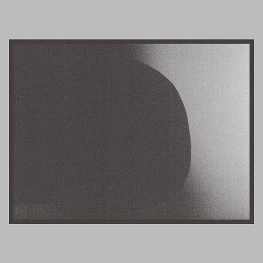 Jasper Sits Out | Retro Vinyl Club