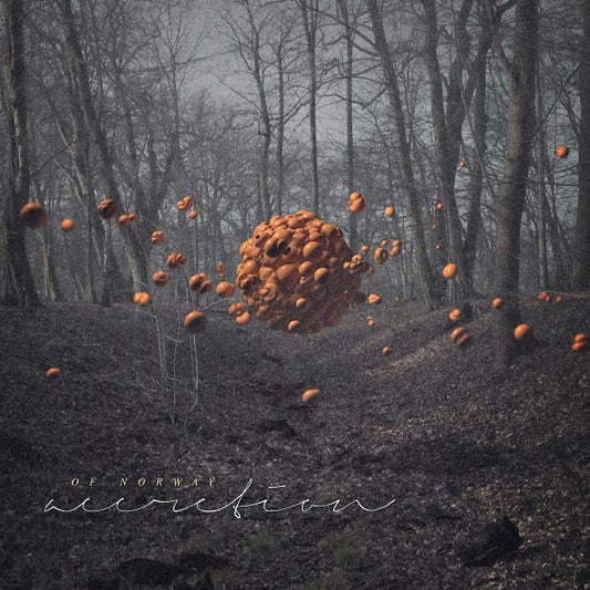 Accretion | Retro Vinyl Club