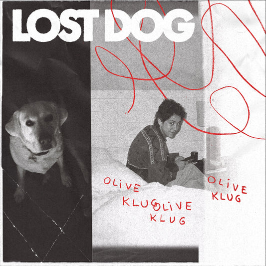 Lost Dog | Retro Vinyl Club