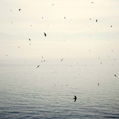 Your Naked Ghost Comes Back At Night | Retro Vinyl Club