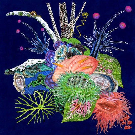 Touche | Retro Vinyl Club