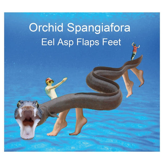 Eel Asp Flaps Feet | Retro Vinyl Club