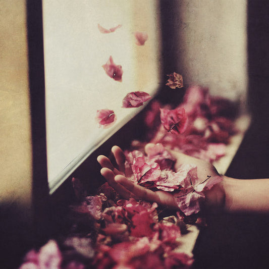 Vintul Prin Salcii | Retro Vinyl Club