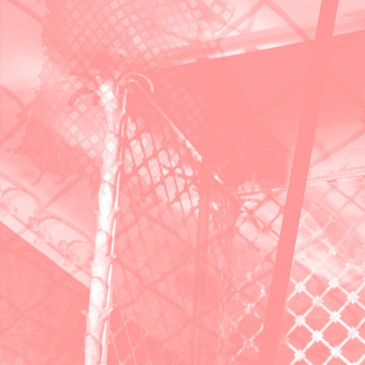 All Intensive Purposes | Retro Vinyl Club