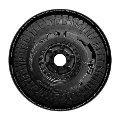 I Am Music [Explicit Content] (Version 3) | Retro Vinyl Club