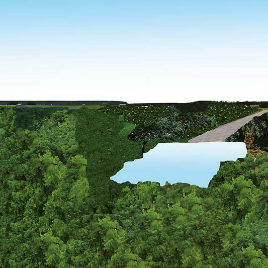 Pollot | Retro Vinyl Club