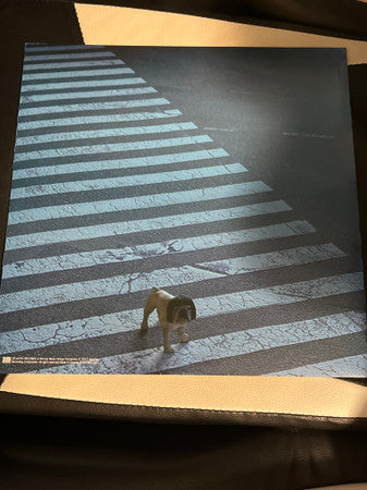 Alone In A Crowd (TRANSLUCENT RED VINYL) |   Retro Vinyl Club