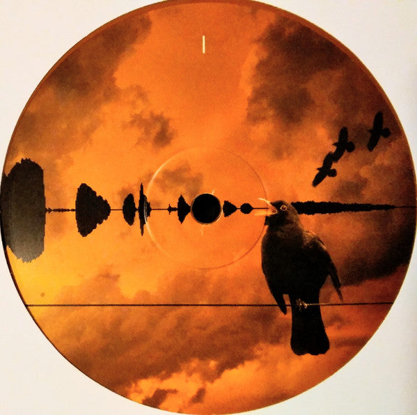 Aerial: 2018 Remaster (IEX: GOLDY LOCKS VINYL) |   Retro Vinyl Club