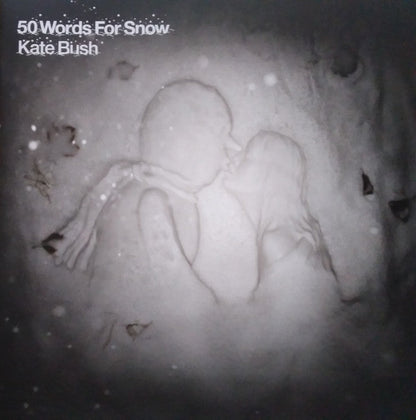 50 Words For Snow: 2018 Remaster (IEX: SNOWY WHITE VINYL) |   Retro Vinyl Club