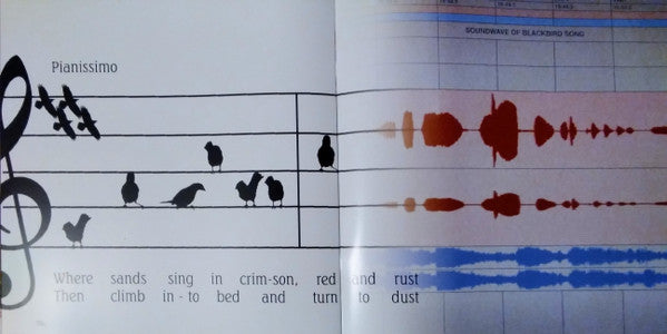 Aerial: 2018 Remaster (IEX: GOLDY LOCKS VINYL) |   Retro Vinyl Club