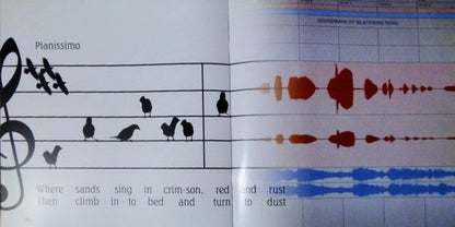 Aerial: 2018 Remaster (IEX: GOLDY LOCKS VINYL) |   Retro Vinyl Club