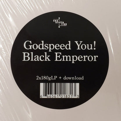 "No Title As Of 13 February 2024 28,340 Dead" |   Retro Vinyl Club