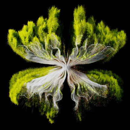 Along Came Polly (Konstantin Sibold, ZAC, CARMEE Remix)(VINYL) |   Retro Vinyl Club