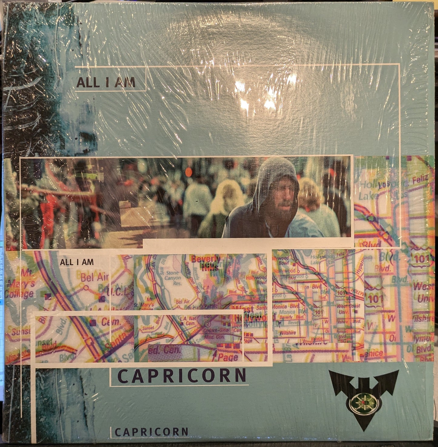 All I Am (Remixes) | Near Mint (NM) Near Mint (NM) Retro Vinyl Club