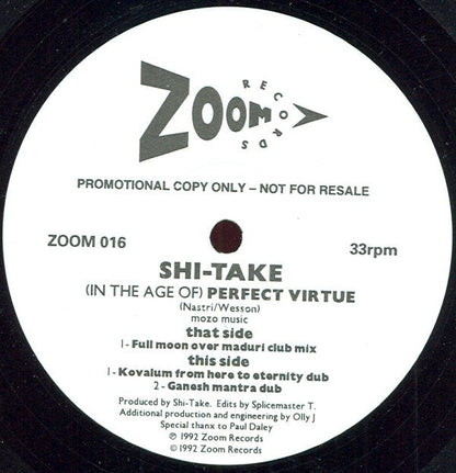 (In The Age Of) Perfect Virtue | Very Good (VG) Generic Retro Vinyl Club