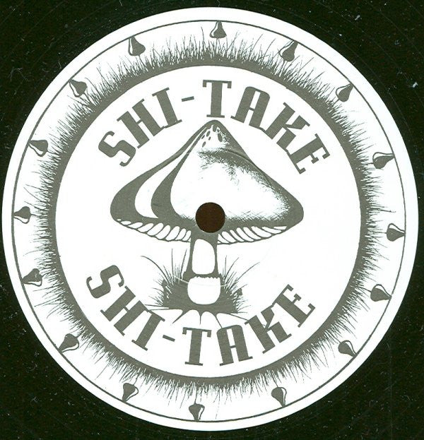 (In The Age Of) Perfect Virtue | Very Good (VG) Generic Retro Vinyl Club