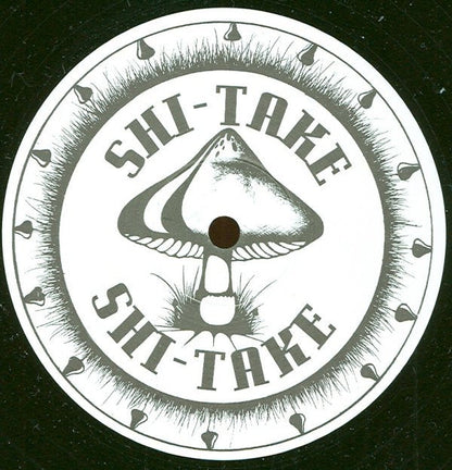 (In The Age Of) Perfect Virtue | Very Good (VG) Generic Retro Vinyl Club