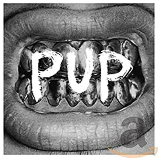 PUP | Retro Vinyl Club
