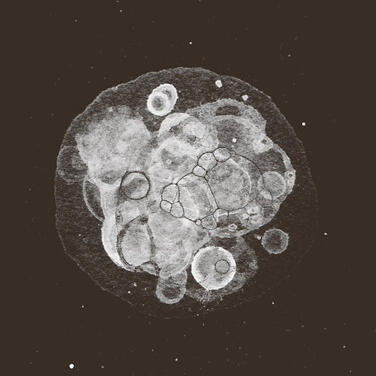 Moon Field | Retro Vinyl Club